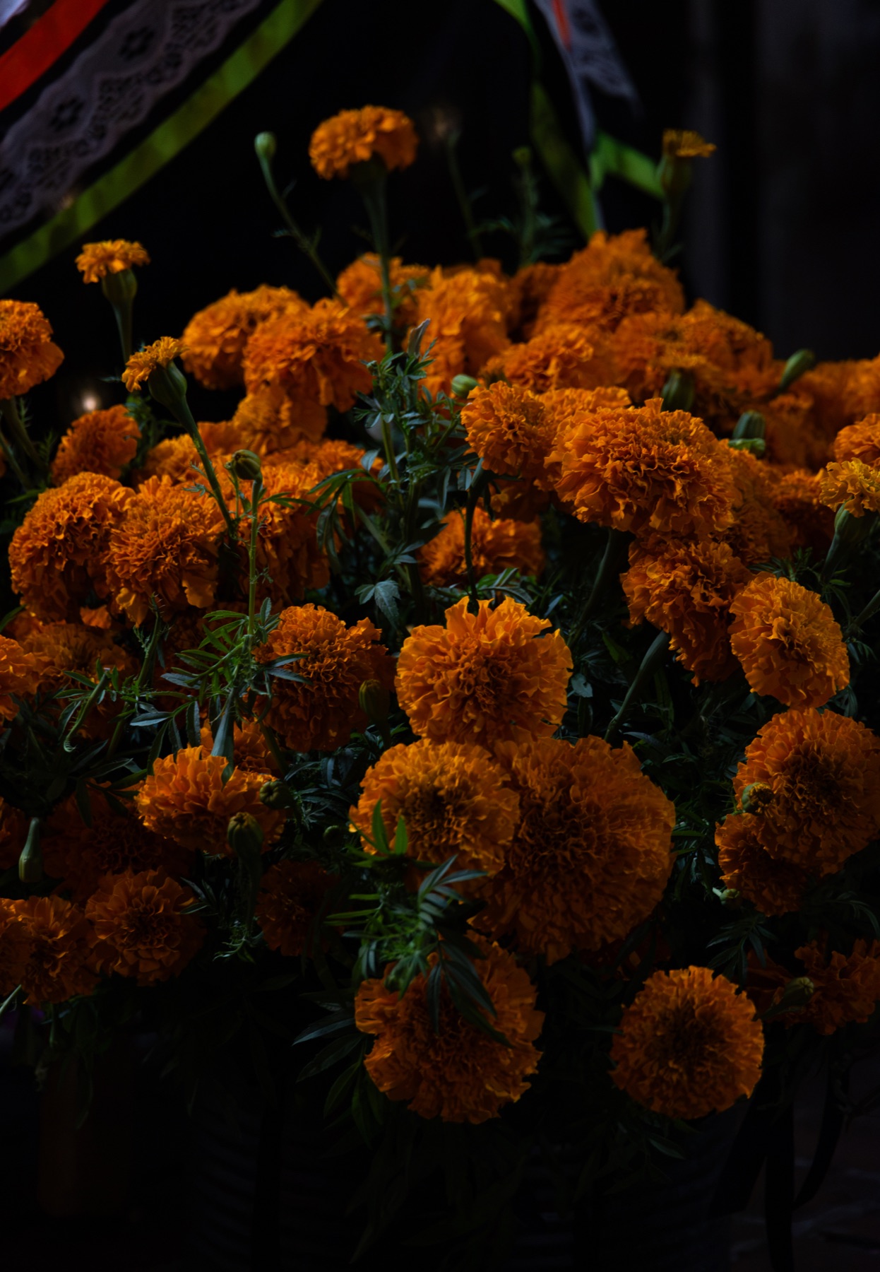 Community and Events photography by Marcy Facundo-Moya