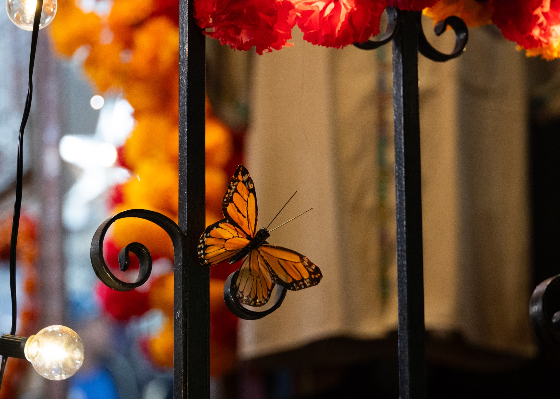 Community and Events photography by Marcy Facundo-Moya