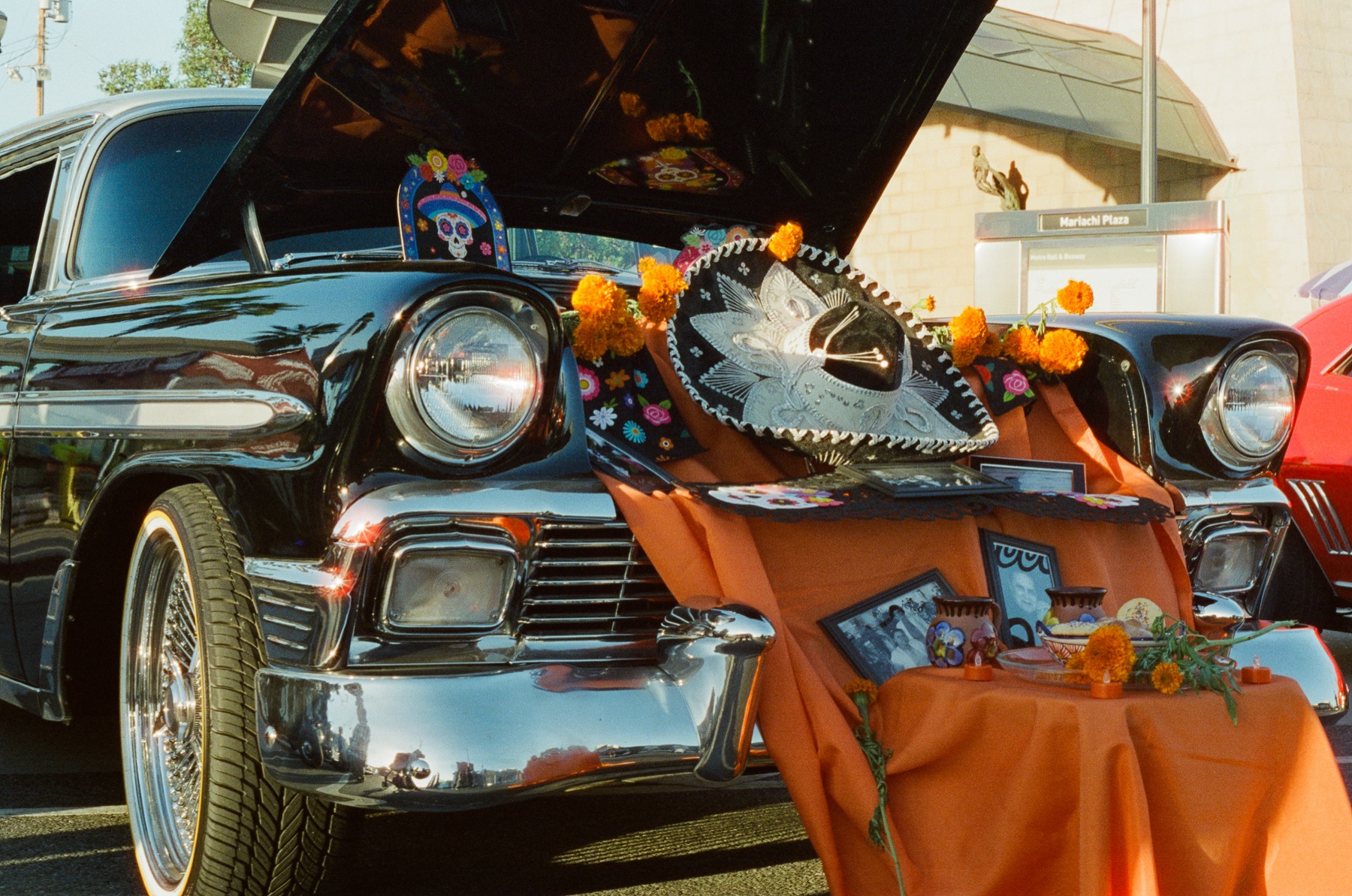 Film photograph on CineStill 800 by Marcy Facundo-Moya
