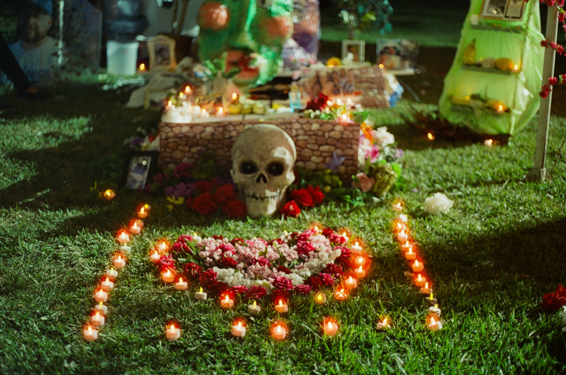 Film photograph on CineStill 800 by Marcy Facundo-Moya