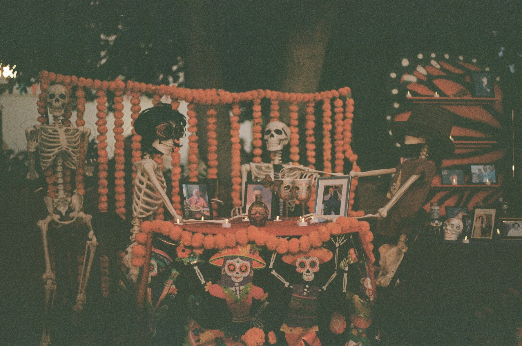 Film photograph on Kodak Portra 800 by Marcy Facundo-Moya