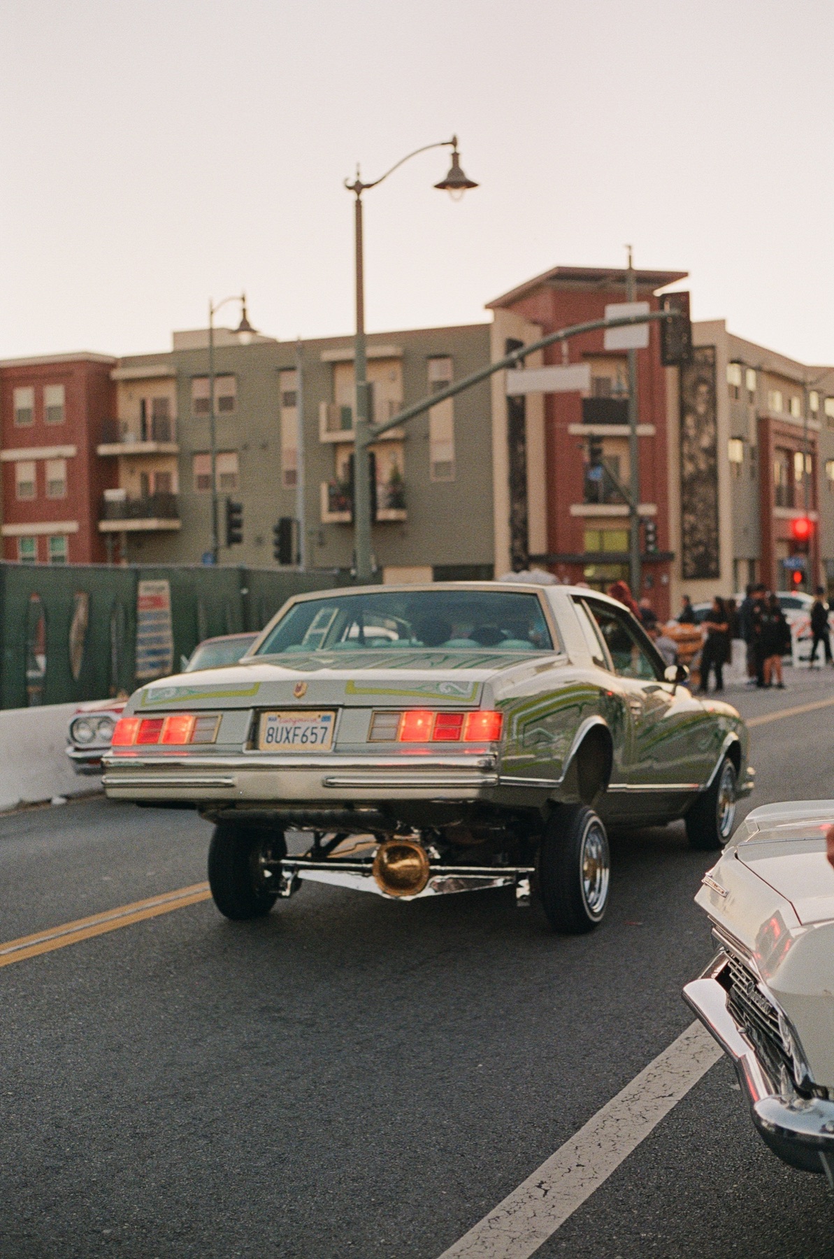 Film photograph on Kodak Portra 800 by Marcy Facundo-Moya