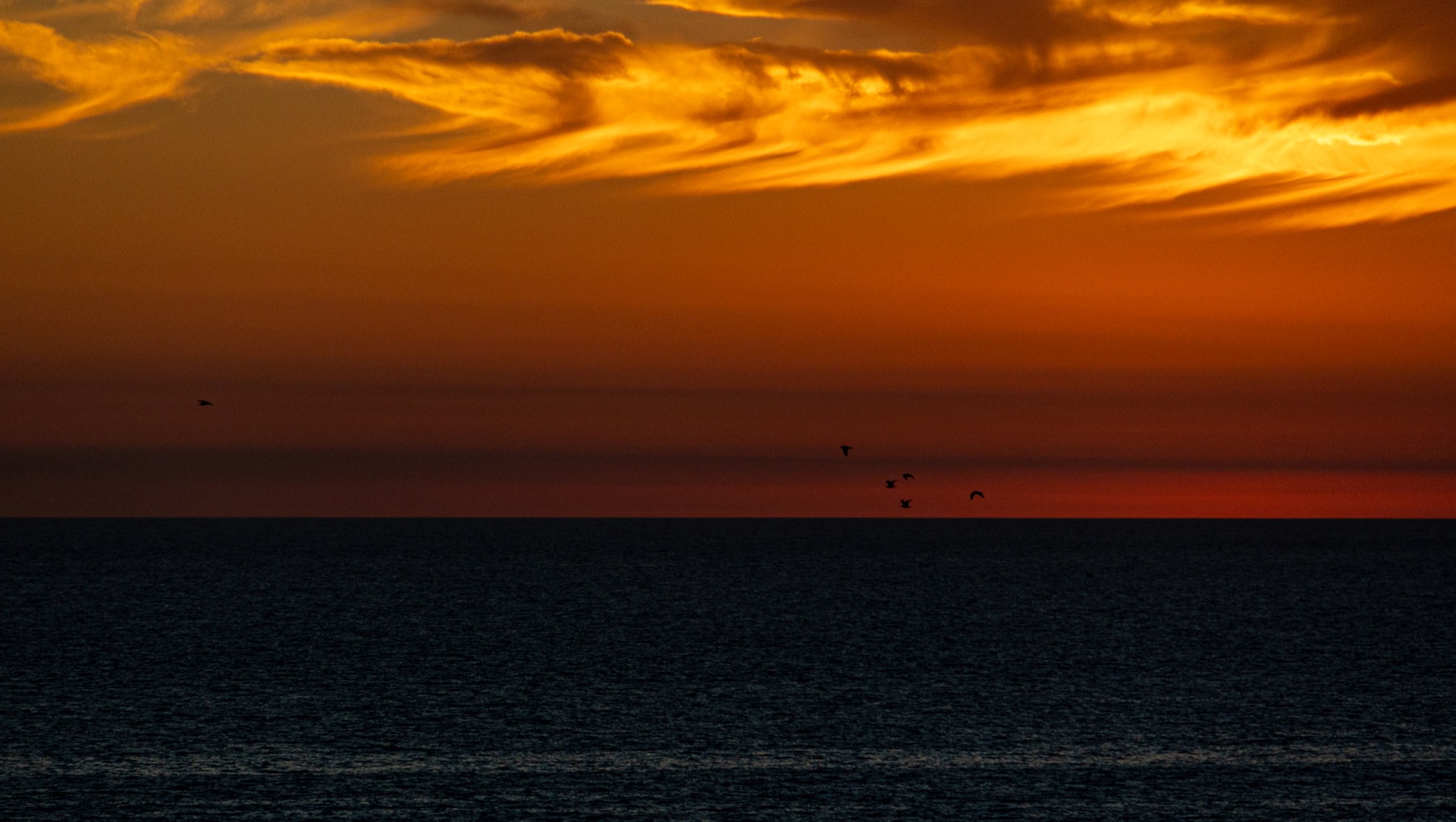 Moments Between Moments by Marcy Facundo-Moya